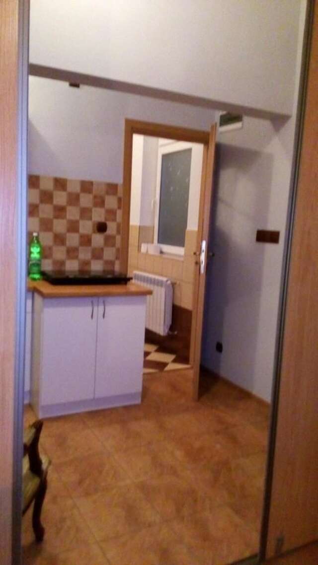 Апартаменты Apartament Pod Wierzbą Пивнична-14